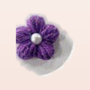 Purple Puff Flower