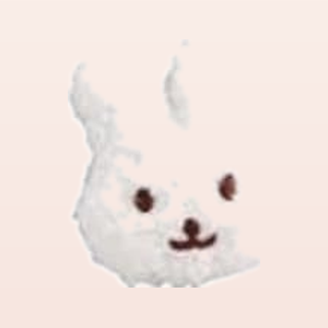 White Bunny
